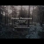Meidän metsämme -kannanotto 27.10.2018